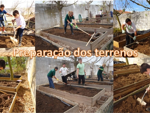 BIO HORTA: preparação dos terrenos para o cultivo